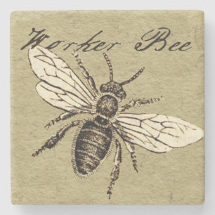 Illustration des Bieneninsekts Steinuntersetzer