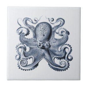 Illustration des blauen Kraken von Ernst Haeckel Fliese