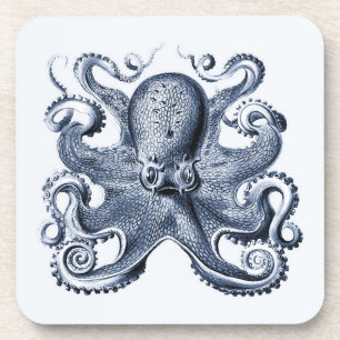 Illustration des blauen Kraken von Ernst Haeckel Getränkeuntersetzer