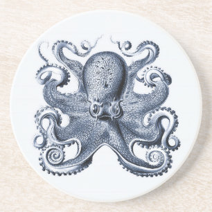 Illustration des blauen Kraken von Ernst Haeckel Getränkeuntersetzer