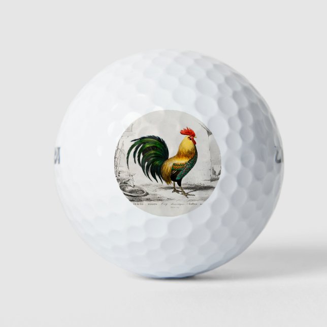 Illustration des Hühnerbruchs aus dem 18. Jahrhund Golfball (Vorderseite)
