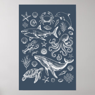 Illustration des marinen Lebens aus der Seefahrts- Poster
