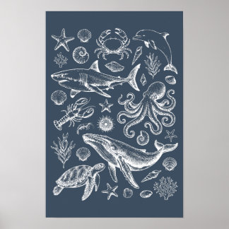 Illustration des marinen Lebens aus der Seefahrts- Poster