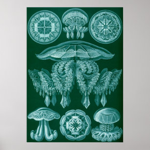 Illustration des marinen Lebens im Vintage-Stil Poster