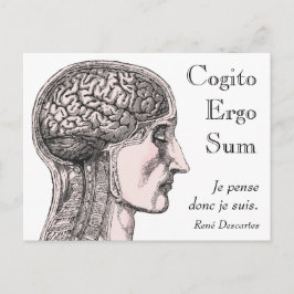 Illustration des menschlichen Gehirns Cogito Ergo  Postkarte
