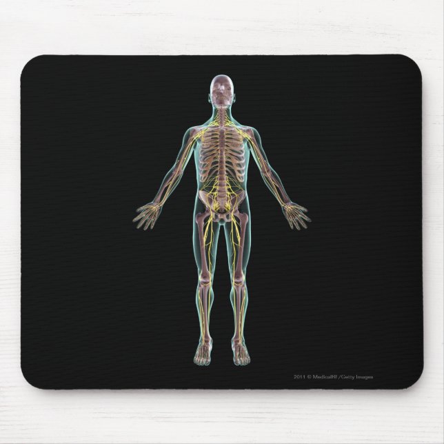 Illustration des Nervensystems Mousepad (Vorne)