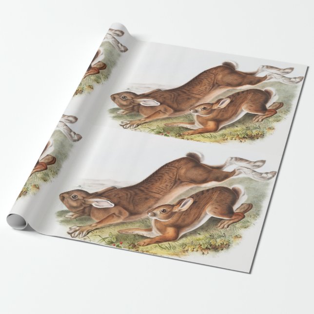 Illustration des Nordhaars (Lepus Americanus) Geschenkpapier (Ungerollt)