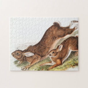 Illustration des Nordhaars (Lepus Americanus) Puzzle