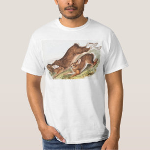 Illustration des Nordhaars (Lepus Americanus) T-Shirt