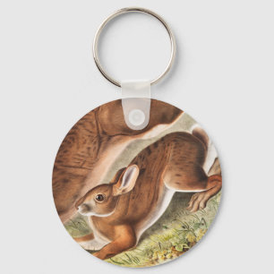 Illustration des Nördlichen Schneehasen (Lepus Ame Schlüsselanhänger