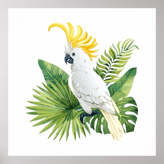 Illustration des Papageien Kakadu Poster (Vorne)