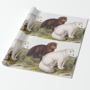 Illustration des Polarfuchses (Vulpes lagopus) Geschenkpapier