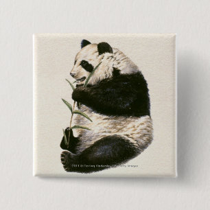 Illustration des riesigen Pandas fütternd auf Button