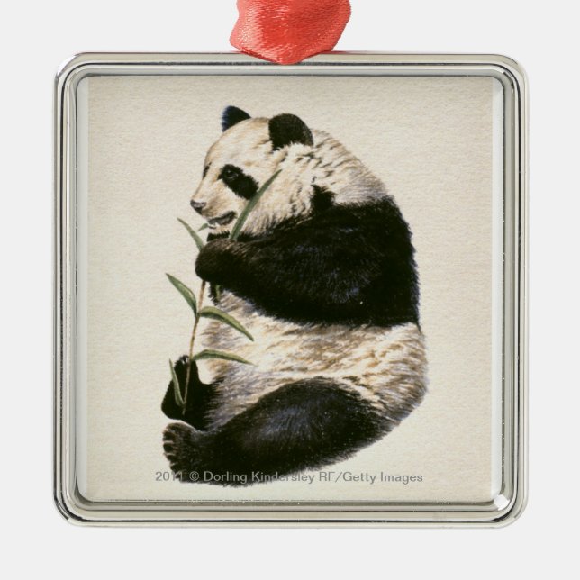 Illustration des riesigen Pandas fütternd auf Silbernes Ornament (Vorne)