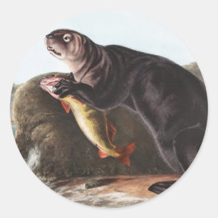 Illustration des Seeotters (Enhydra marina) Runder Aufkleber