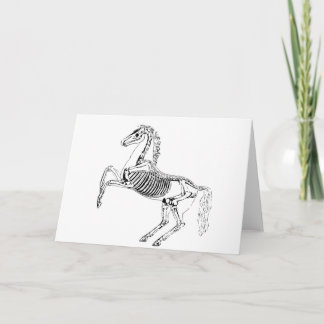 Illustration des viktorianischen Pferdeskeletts Karte
