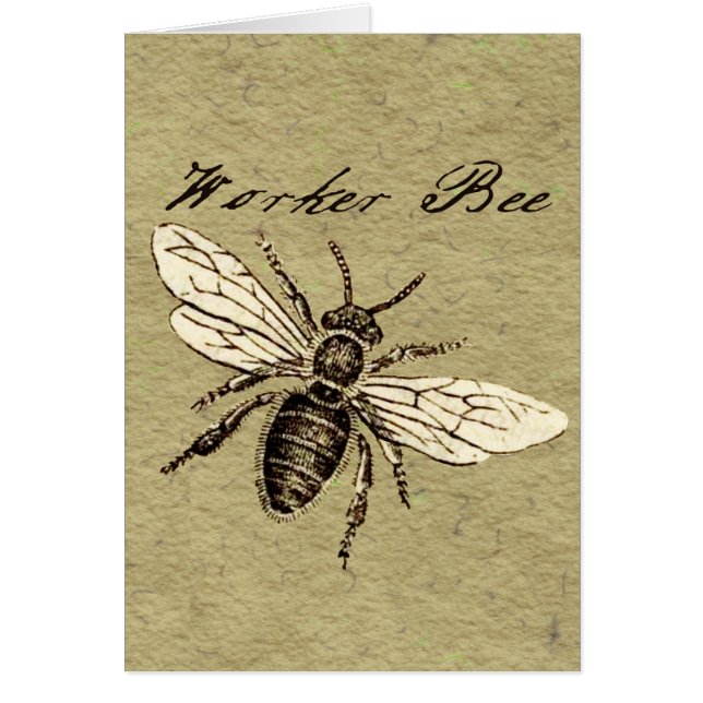Illustration des Vintagen Bieneninsekts Antike (Vorne)