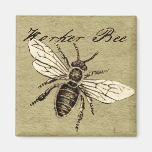 Illustration des Vintagen Bieneninsekts Antike Magnet