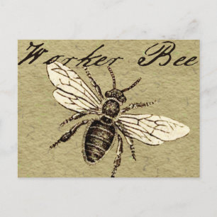 Illustration des Vintagen Bieneninsekts Antike Postkarte