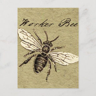 Illustration des Vintagen Bieneninsekts Antike Postkarte