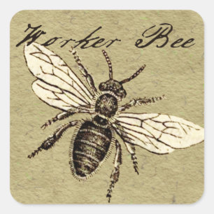 Illustration des Vintagen Bieneninsekts Antike Quadratischer Aufkleber