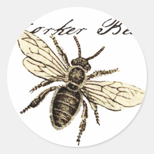Illustration des Vintagen Bieneninsekts Antike Runder Aufkleber