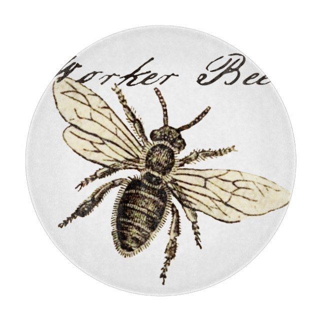 Illustration des Vintagen Bieneninsekts Antike Schneidebrett (Vorderseite)