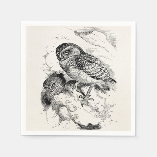 Illustration des Vintagen Burrowing Owl Chick Bird Serviette (Vorderseite)