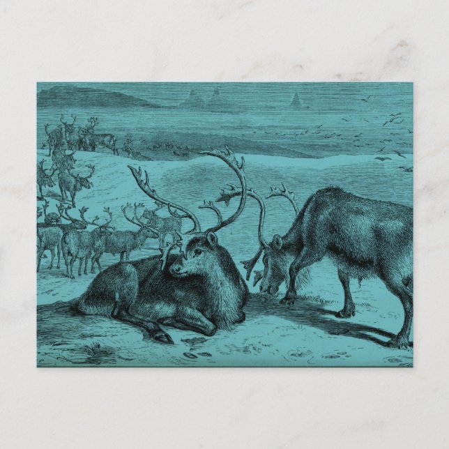Illustration des Vintagen Reindeers Postkarte (Vorderseite)