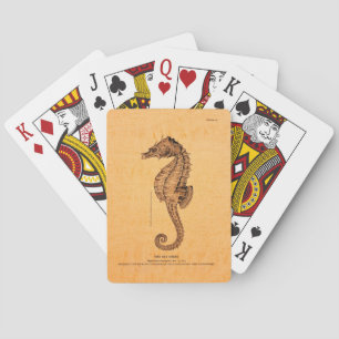 Illustration des Vintagen Seepferds Spielkarten