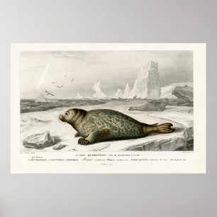 Illustration des Vintagen Siegels Poster
