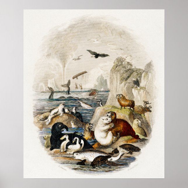 Illustration des Vintagen Siegels Poster (Vorne)