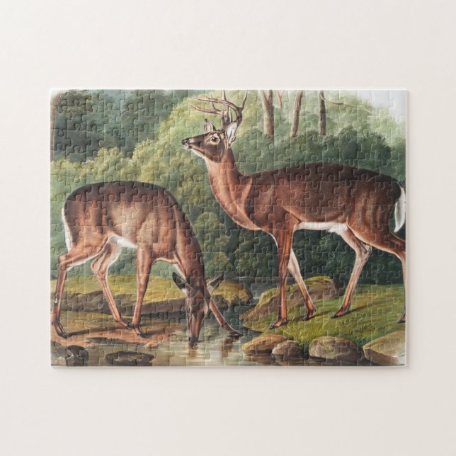 Illustration des Virginianus (Cervus Virginianus) Puzzle (Horizontal)