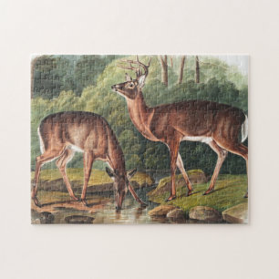Illustration des Virginischen Hirsches (Cervus Vir Puzzle