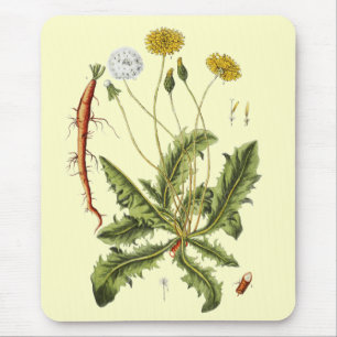 Illustration einer alten Löwenzahnblüte Mousepad