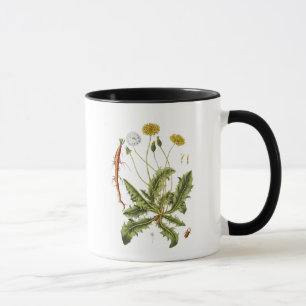 Illustration einer alten Löwenzahnblüte Tasse