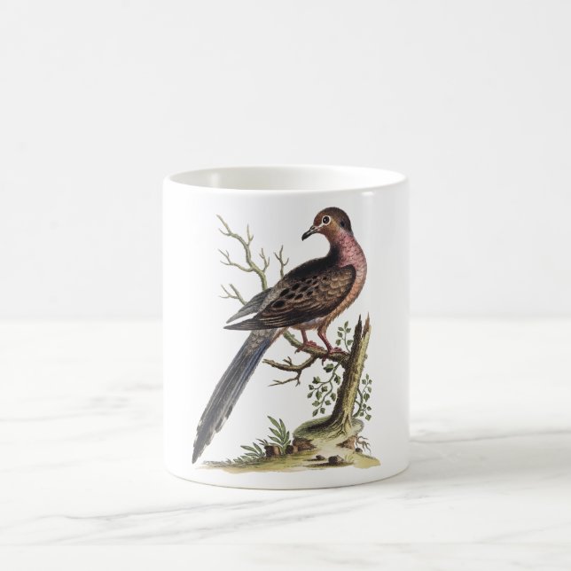 Illustration einer alten Wandertaube  Kaffeetasse (Mittel)