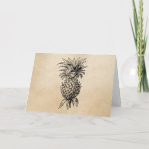Illustration einer Ananas aus dem 19. Jahrhundert Karte
