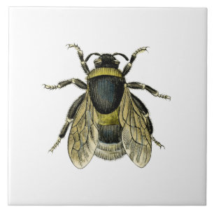 Illustration einer antiken Biene Fliese