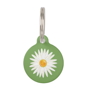 Illustration einer Gänseblümchen-Blume auf Grün mi Tiernamensmarke
