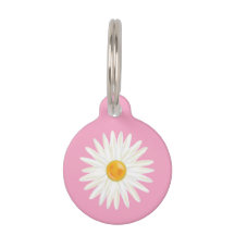 Illustration einer Gänseblümchen-Blume auf Rosa mi