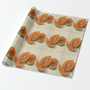 Illustration einer geschnittenen Cantaloupe-Melone Geschenkpapier