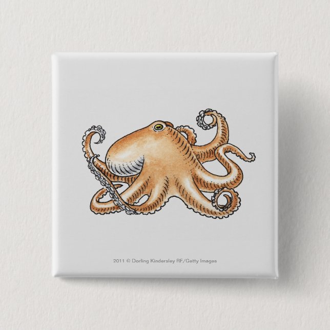 Illustration einer Krake Button (Vorderseite)