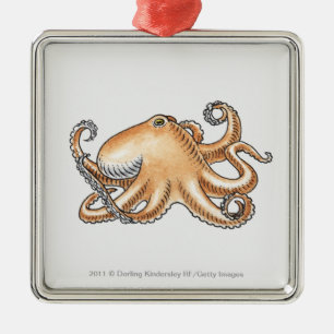 Illustration einer Krake Silbernes Ornament