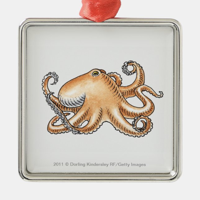 Illustration einer Krake Silbernes Ornament (Vorne)