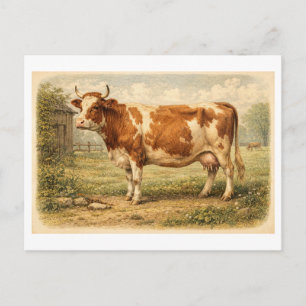 Illustration einer Kuh im Vintage-Stil Postkarte
