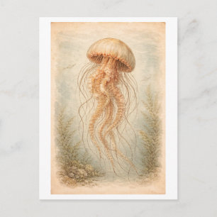 Illustration einer Qualle im Vintage-Stil Postkarte