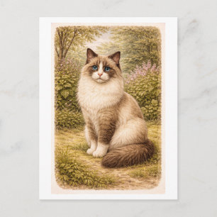 Illustration einer Ragdoll-Katze im Vintage-Stil Postkarte