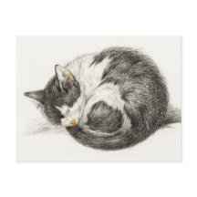 Illustration einer schlafenden Katze im Vintage-St
