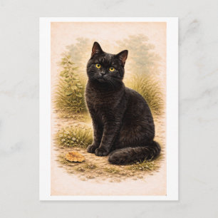 Illustration einer schwarzen Katze im Vintage-Stil Postkarte